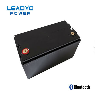 LEADYO BMS মেরিন Lifepo4 ব্যাটারি 12V 100amp প্লাস্টিক স্ক্রুয়েবল কেস