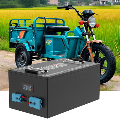 ভালো দাম কাস্টম 48V 150Ah LiFePO4 লিথিয়াম ব্যাটারি টুক টুক মোটর ট্যাক্সি থ্রি হুইলার যাত্রী অটো রিক্সা ইলেকট্রিক টোটো অনলাইন