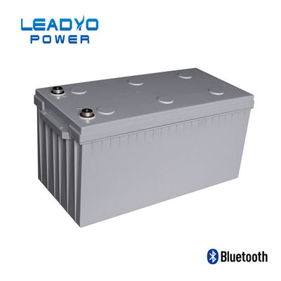 সামুদ্রিক নিম্ন তাপমাত্রা LiFePO4 ব্যাটারি 24V 100AH ​​লিথিয়াম ব্যাটারি সেল্ফ হিটিং